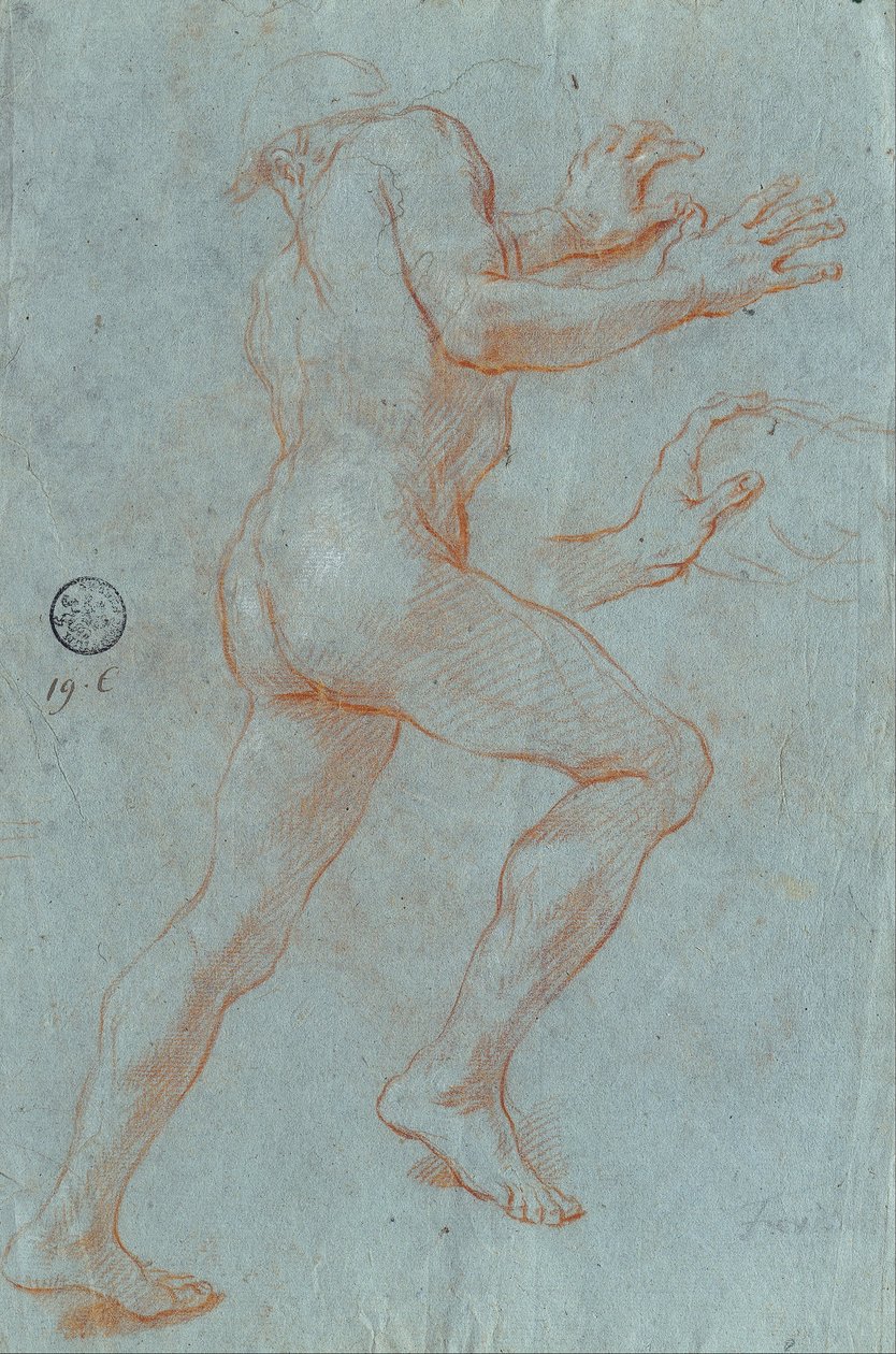 Studie eines männlichen Aktes von Giovanni Antonio Grecolini