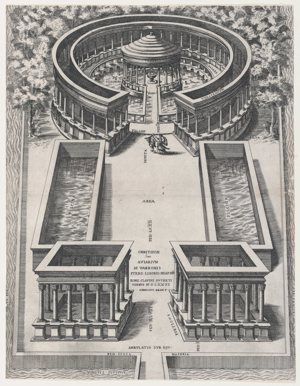 Speculum Romanae Magnificentiae: Ornithon Sive Aviarum, 1581 von Giovanni Ambrogio Brambilla