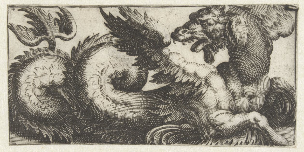 Geflügelter Seehund, der zurückblickt von Giovanni Andrea Maglioli