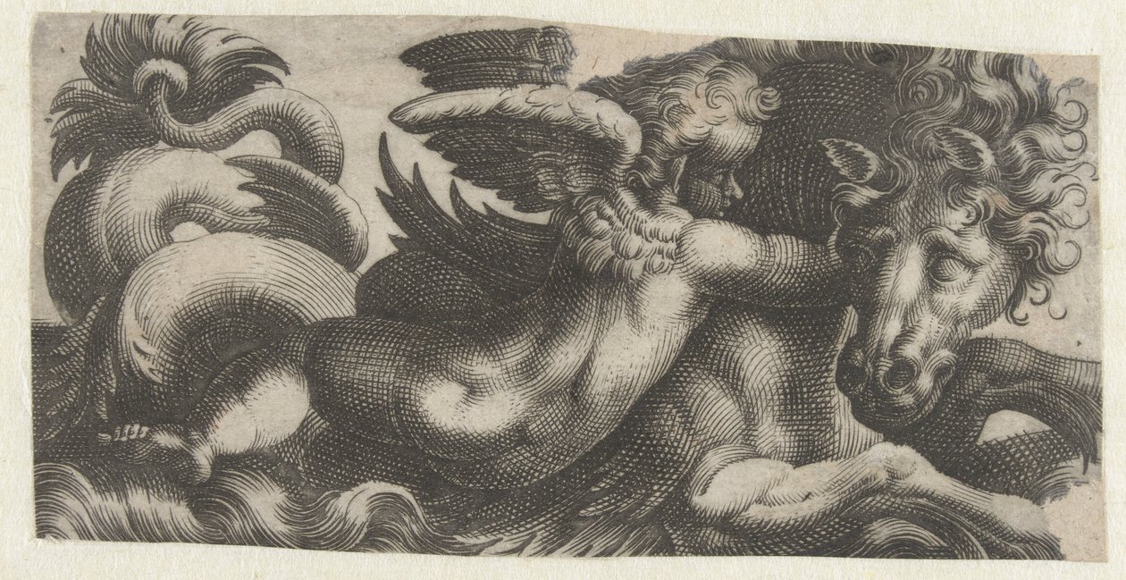 Seepferdchen mit einem Putto um den Hals von Giovanni Andrea Maglioli