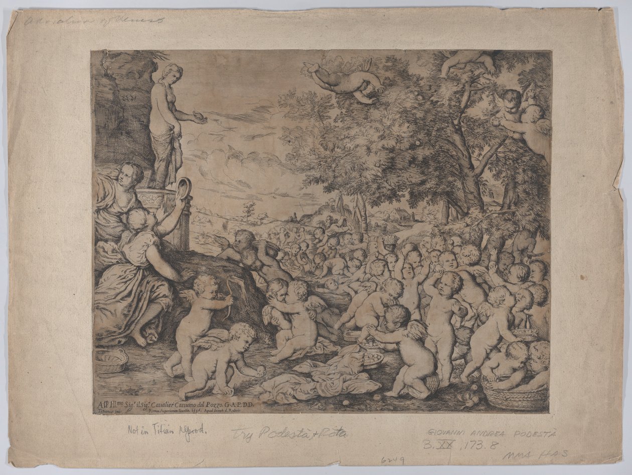 Putti vor einer Statue der Venus, nach Tizian von Giovanni Andrea Podesta