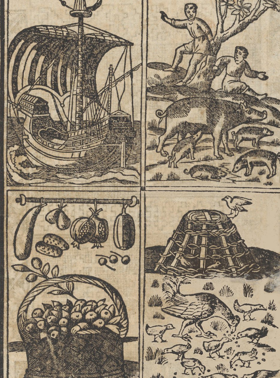 Essempio di recammi, Seite 9 recto, 1530 von Giovanni Antonio Tagliente