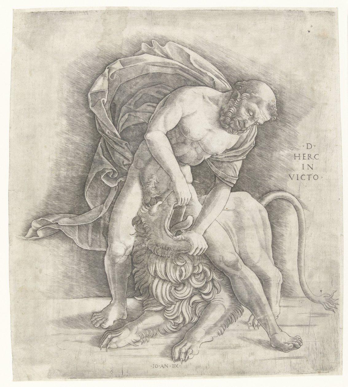 Herkules kämpft gegen den nemeischen Löwen Hercules overwint de Nemeïsche leeuw D HERC IN VICTO (Titel auf Objekt) von Giovanni Antonio da Brescia