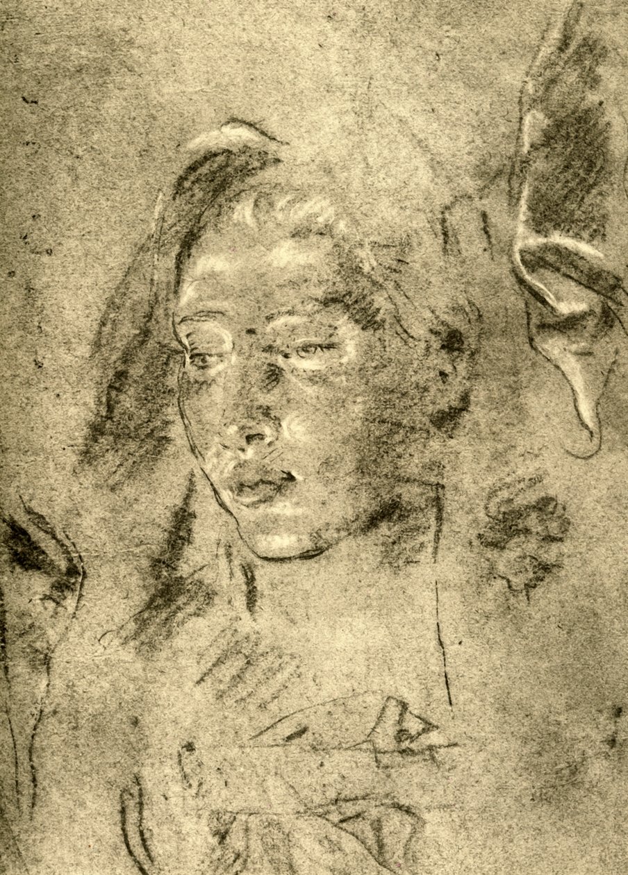Kopf einer jungen Frau, Mitte 18. Jahrhundert, 1928 von Giovanni Battista Tiepolo