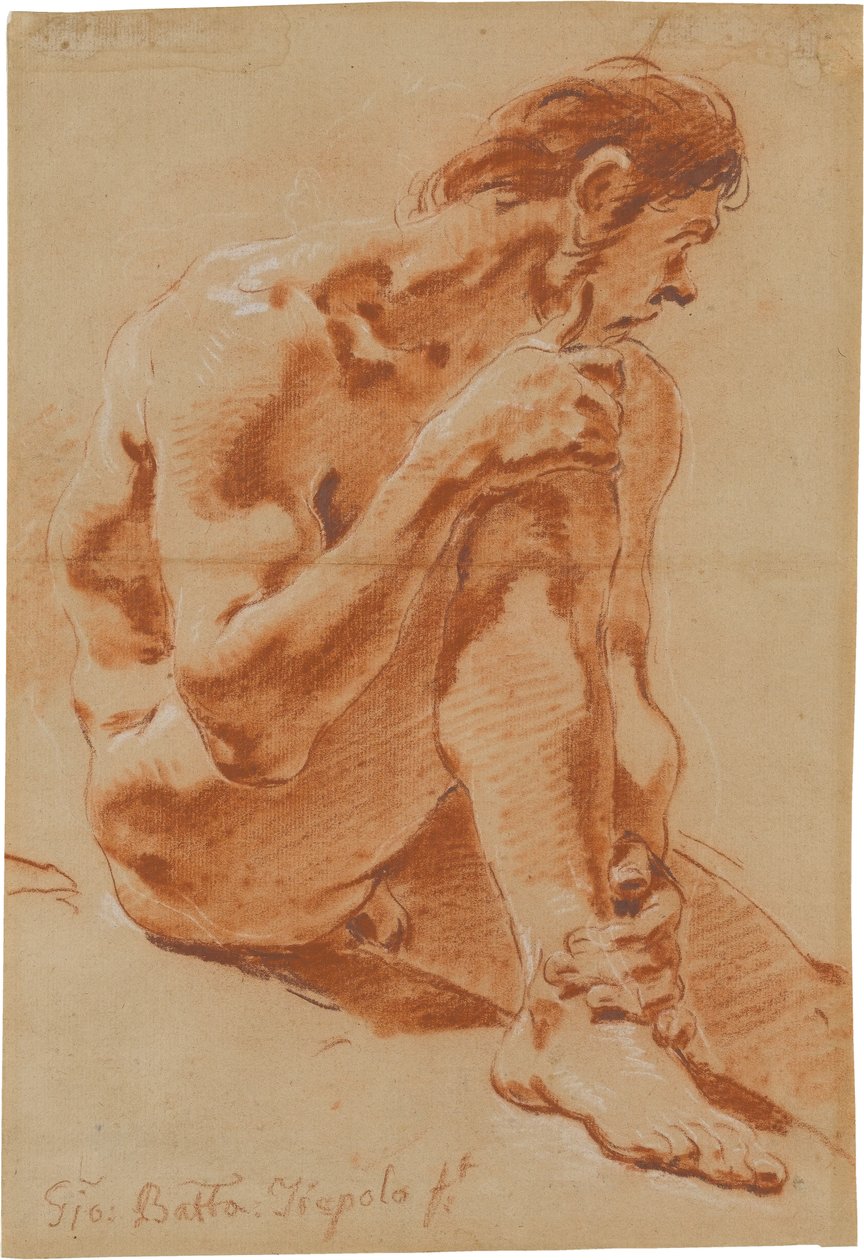 Sitzender männlicher Akt von Giovanni Battista Tiepolo