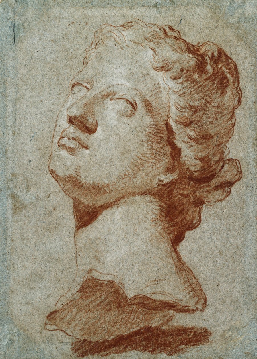 Studie des Kopfes der Venus, nach der Antike von Giovanni Battista Tiepolo