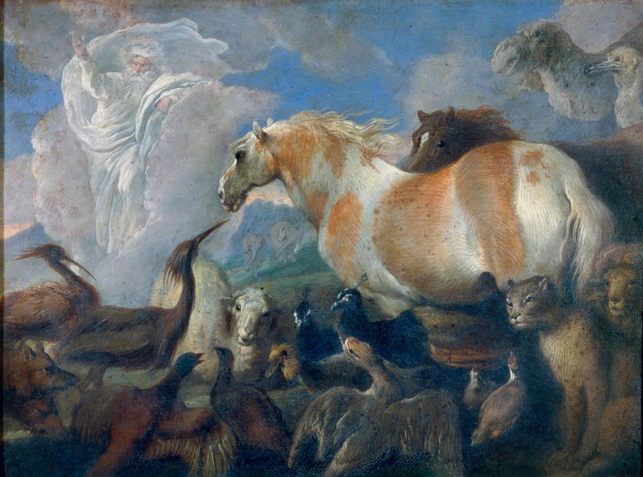 Die Schöpfung von Giovanni Benedetto Castiglione
