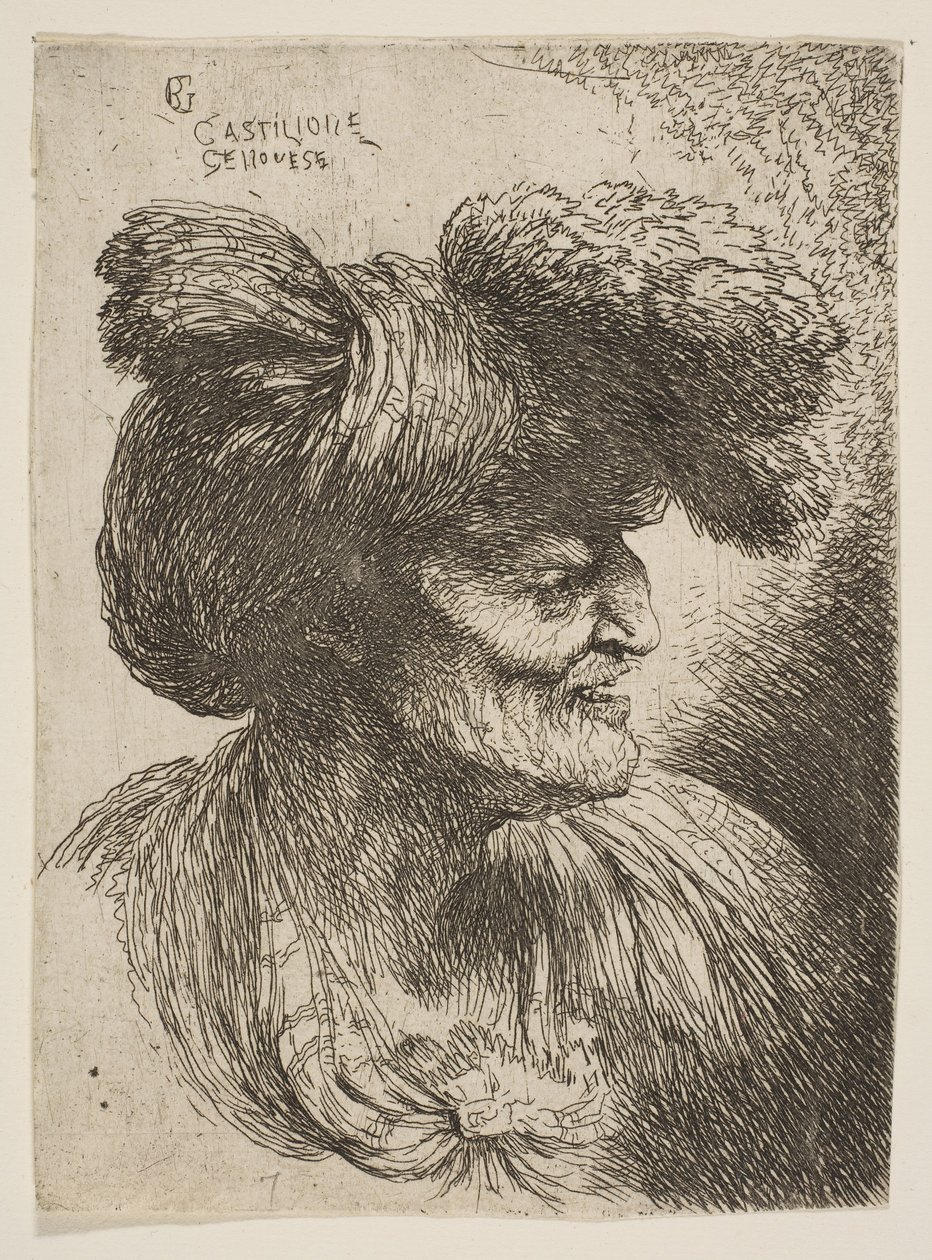 Büste eines bartlosen alten Mannes im Profil nach rechts, aus der Serie der kleinen Köpfe, ca. 1645-1650 von Giovanni Benedetto Castiglione