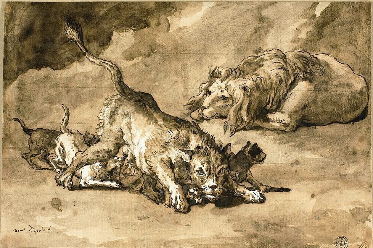 Löwe, Löwin und Junge von Giovanni Domenico Tiepolo