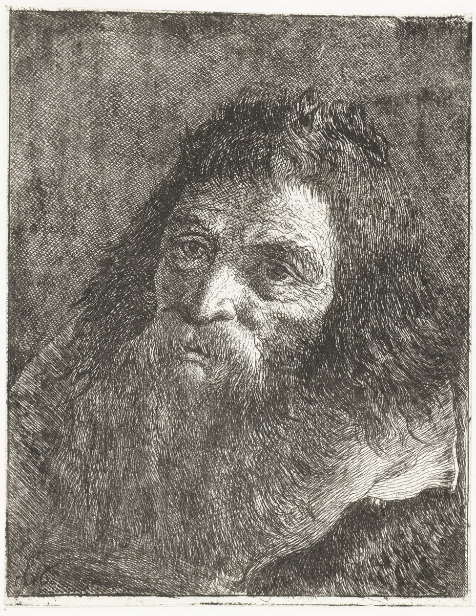 Mann mit langem Haar und Bart von Giovanni Domenico Tiepolo