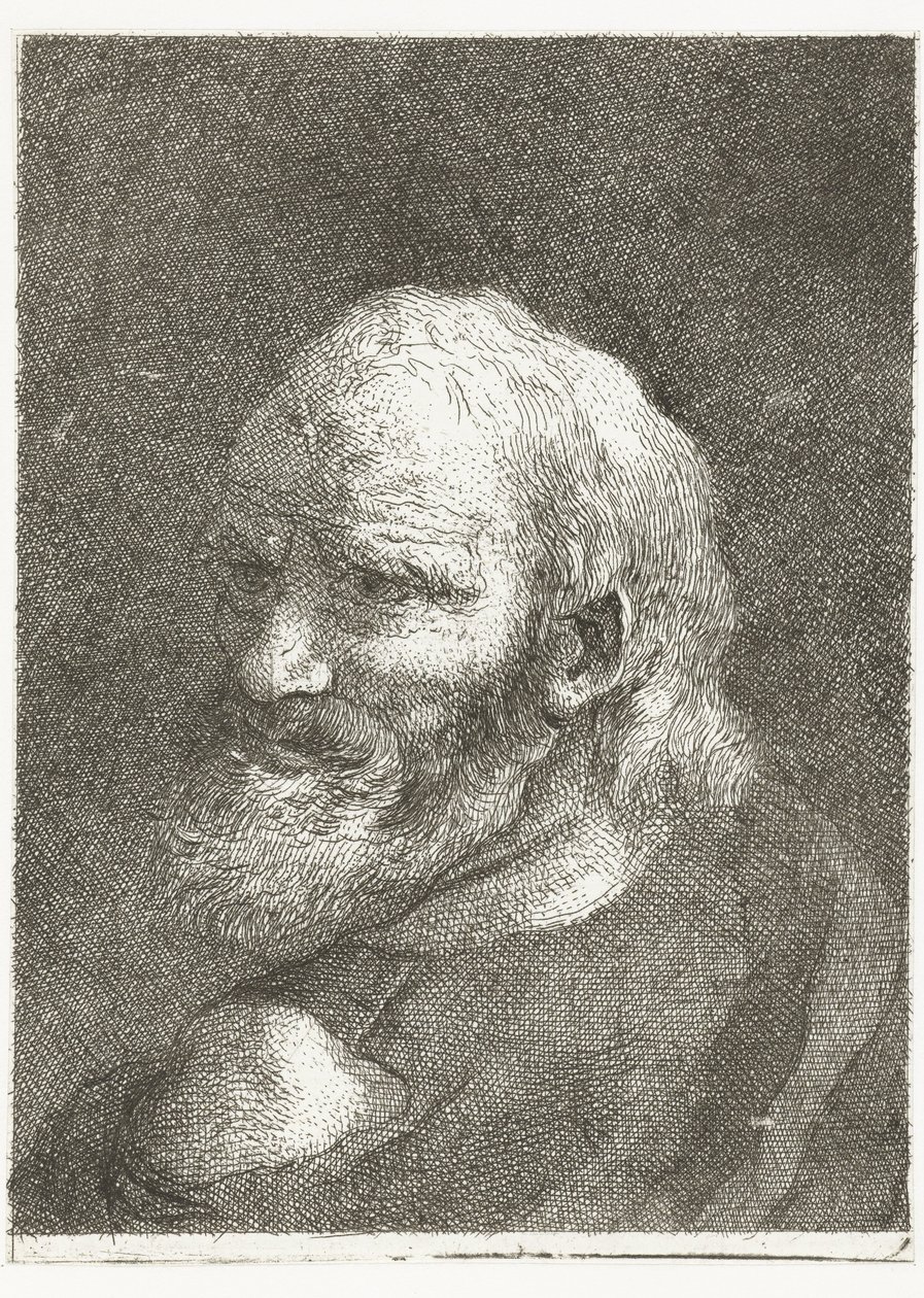 Mann mit entblößter Schulter von Giovanni Domenico Tiepolo