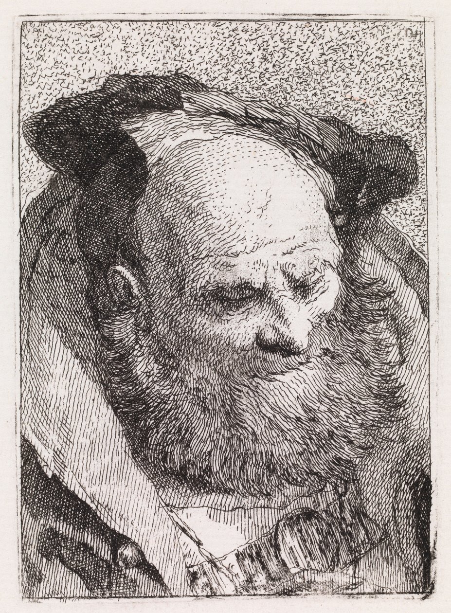 Alter Mann mit Bart von Giovanni Domenico Tiepolo