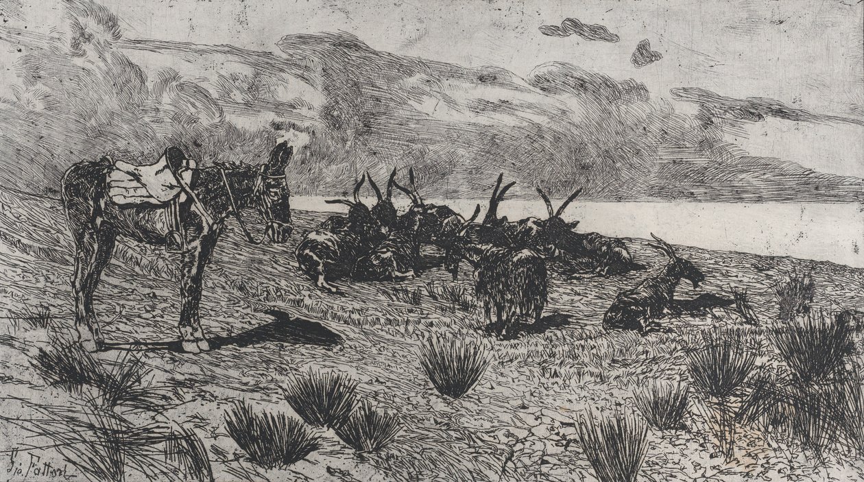 Esel und Ziegen an einem Winterstrand von Giovanni Fattori