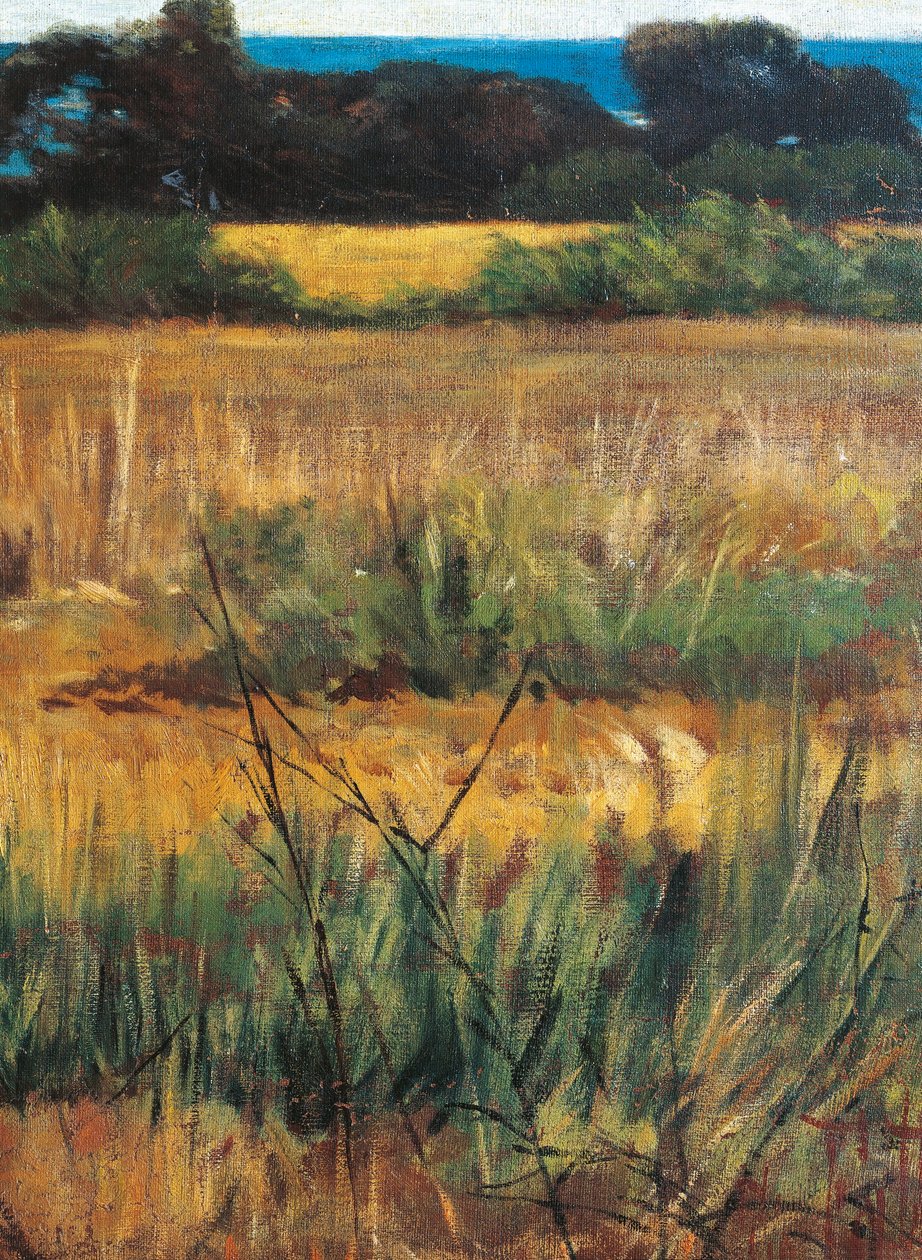 Maremma Toscana, circa 1894 (Detail) von Giovanni Fattori