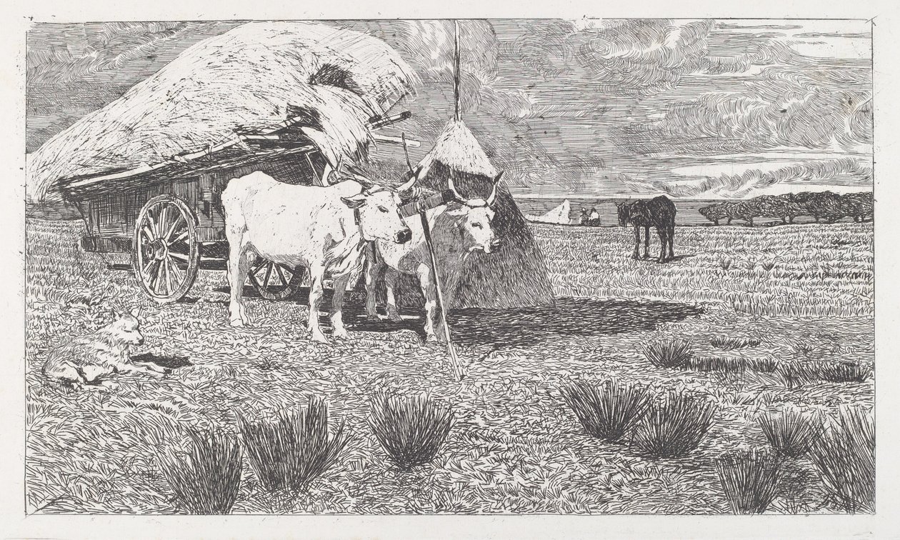Ochsen am Wagen (Maremma) von Giovanni Fattori