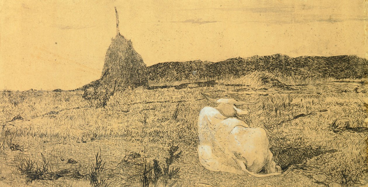 Pio Bove (Frömmiger oder Friedlicher Ochse) von Giovanni Fattori