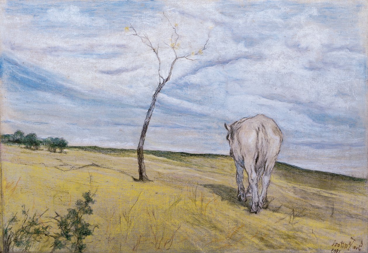 Weißes Pferd von Giovanni Fattori