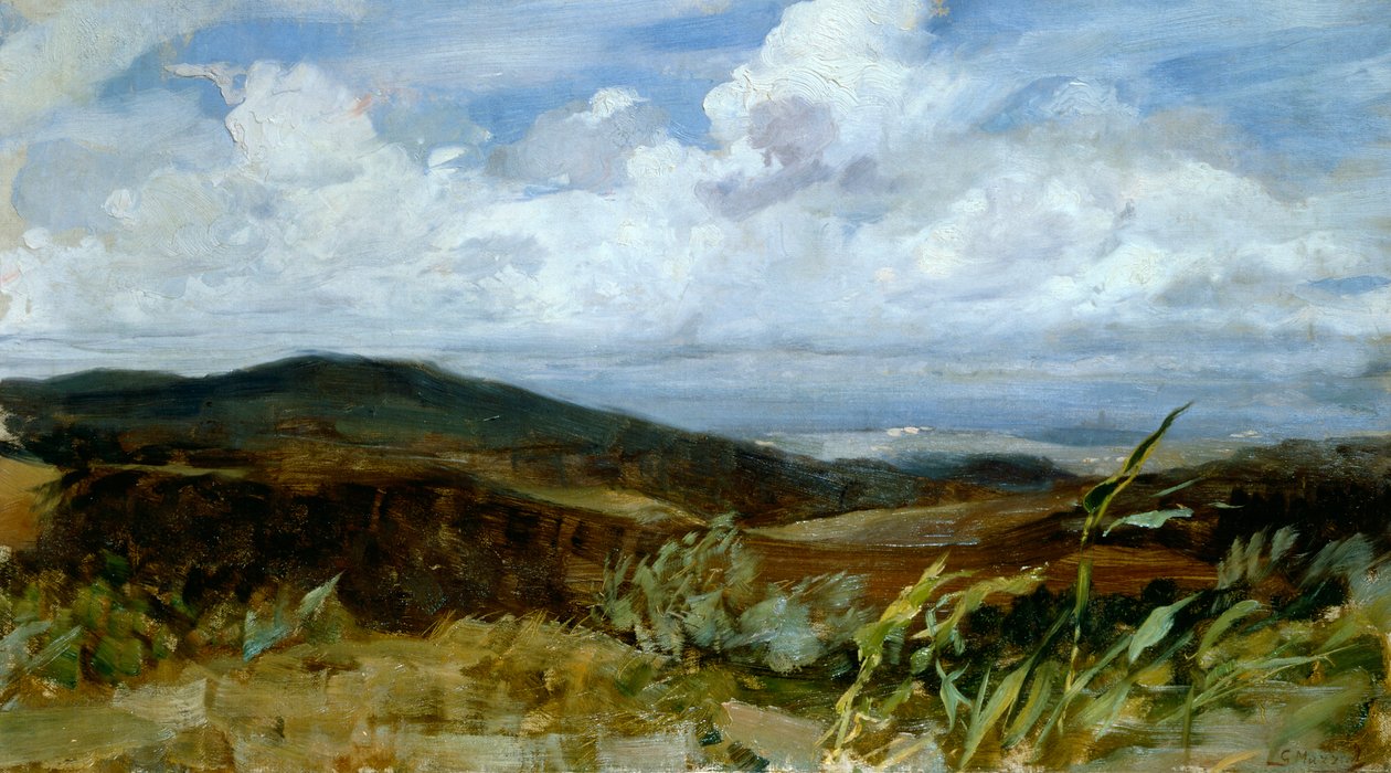 Landschaft, von Giovanni Muzzioli von Giovanni Muzzioli