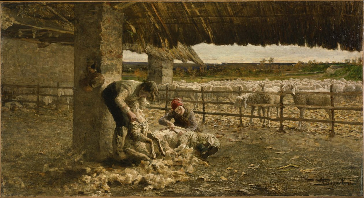 羊の剪毛 von Giovanni Segantini