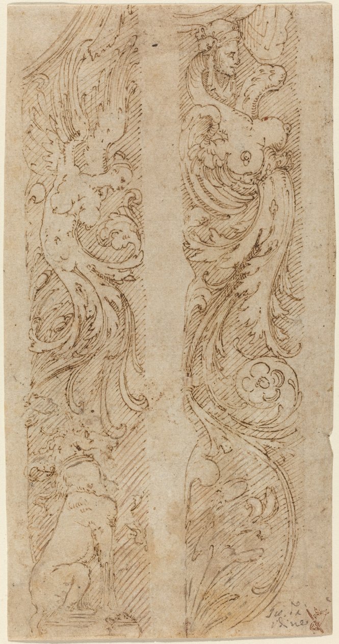 Groteske Dekorationen für Wandpaneele von Giovanni da Udine