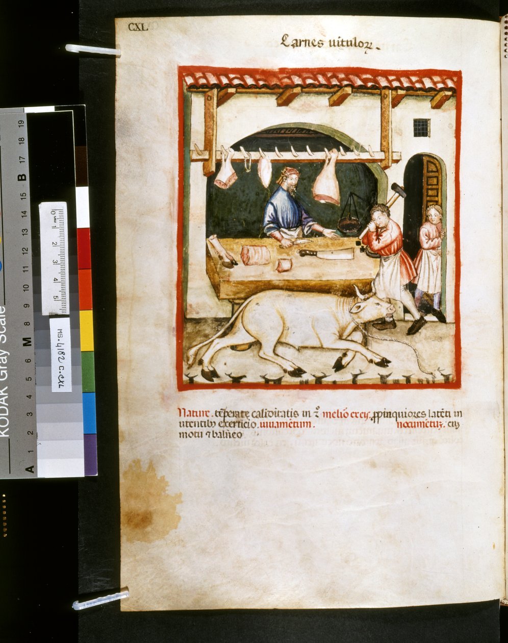 Theatrum sanitatis von Ububchasym de Baldach: 