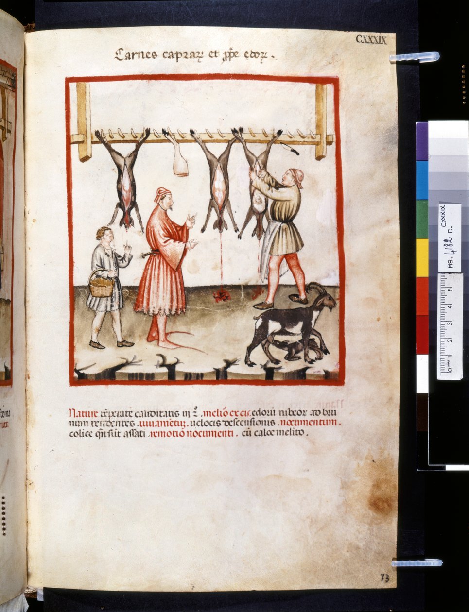 Theatrum sanitatis von Ububchasym de Baldach: 'Carnes Caprarum et Pulpe ...