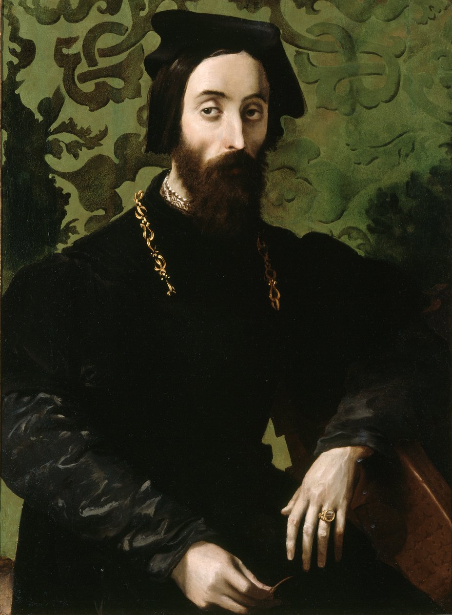 Porträt eines Musikers, um 1540 von Girolamo Mazzola (attr.) Bedoli