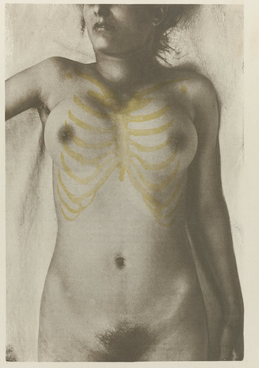Anatomisches Foto eines weiblichen Leichnams: 