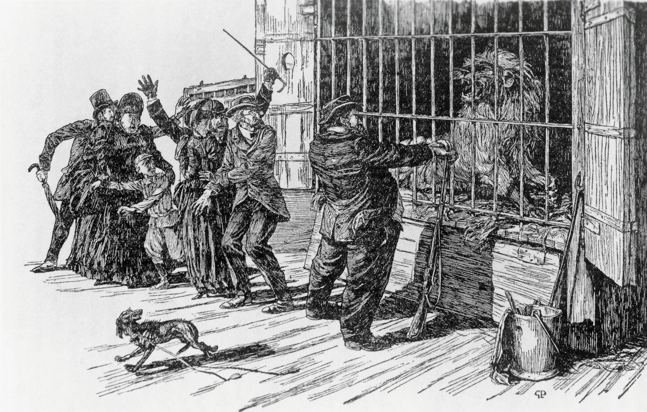 Tartarin und der Löwenkäfig, Illustration für Tartarin in den Alpen von Alphonse Daudet von Giuseppe Porcheddu
