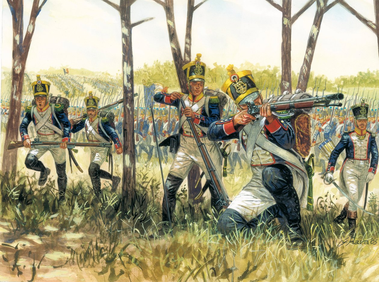 Erstes Kaiserreich: Französische Infanterie-Voltigeure (Illustration von Giuseppe Rava) von Giuseppe Rava