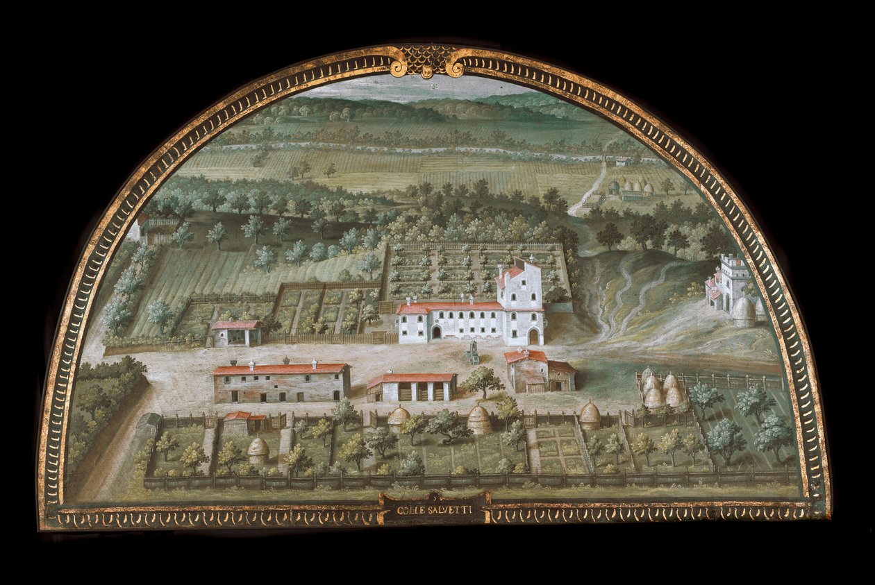 Ansicht der Villa di Colle Salvetti bei Livorno, Italien von Giusto Utens