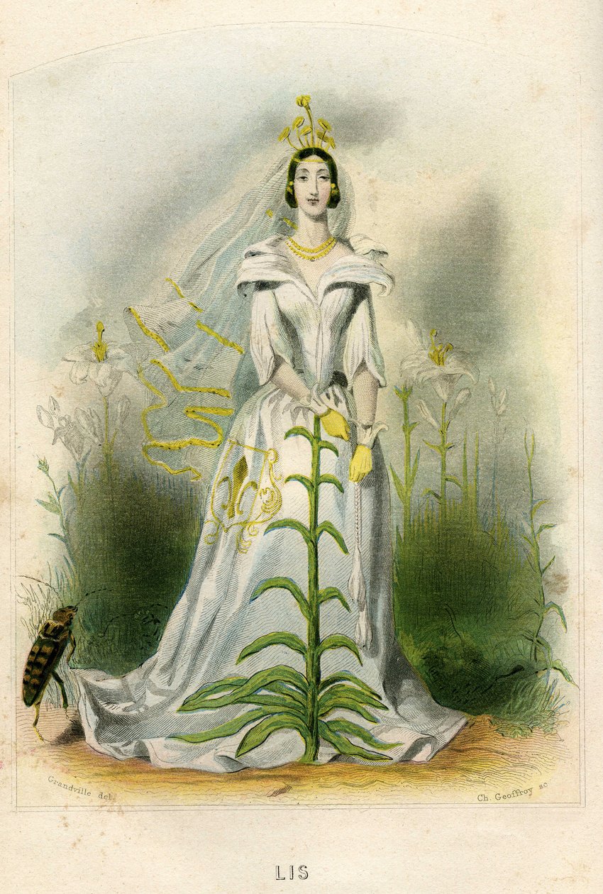 Illustration für 