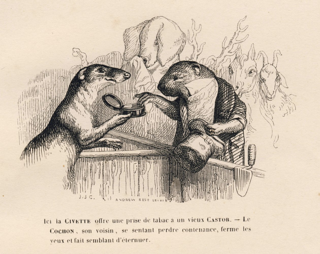 Eine Zibetkatze bietet einem alten Biber eine Prise Tabak an, das Schwein dahinter versucht sich zu beherrschen. Illustrierte Vignetten von JJ Granville. Gravur signiert Andrew Best und Leloir im Prolog "Parlamentarische Zusammenfassung" geschrieben von PJ von Grandville