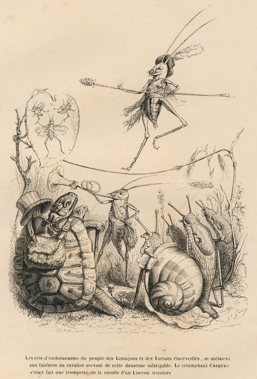 Grille spielt Trompete vor einer Schildkröte, einer Schnecke und Schnecken. Über ihm balanciert eine andere Grille auf einem Faden. Vignetten illustriert von JJ Granville. Gravur signiert Godard in dem Teil "Die Abenteuer eines Schmetterlings" von Grandville