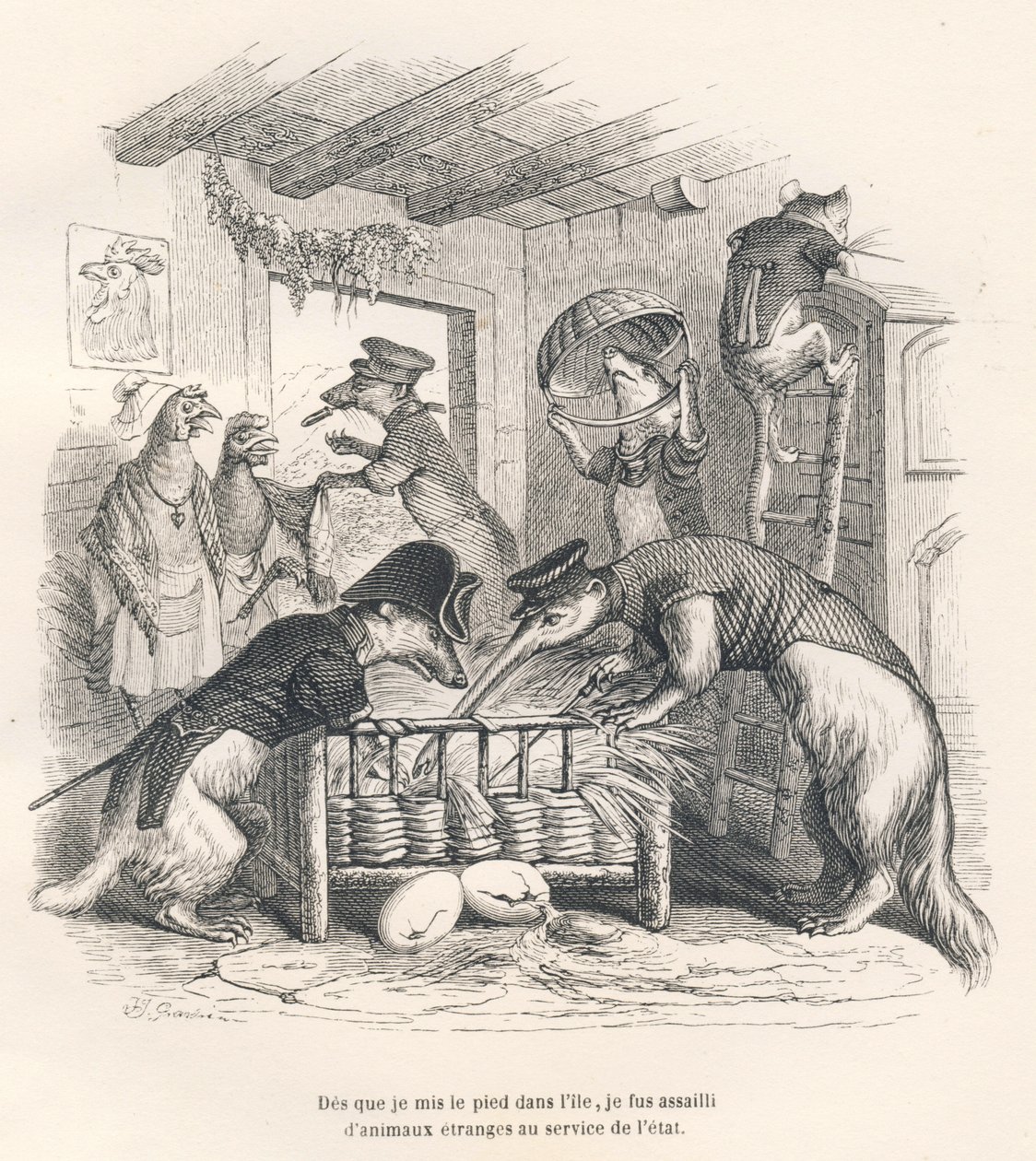 Sobald ich meinen Fuß auf die Insel setzte, wurde ich von seltsamen Tieren im Dienst des Staates angegriffen. Vignetten illustriert von JJ Granville. Gravur signiert Porret im Teil "Reise eines Spatzen aus Paris" geschrieben von George Sand in "Szenen aus  von Grandville