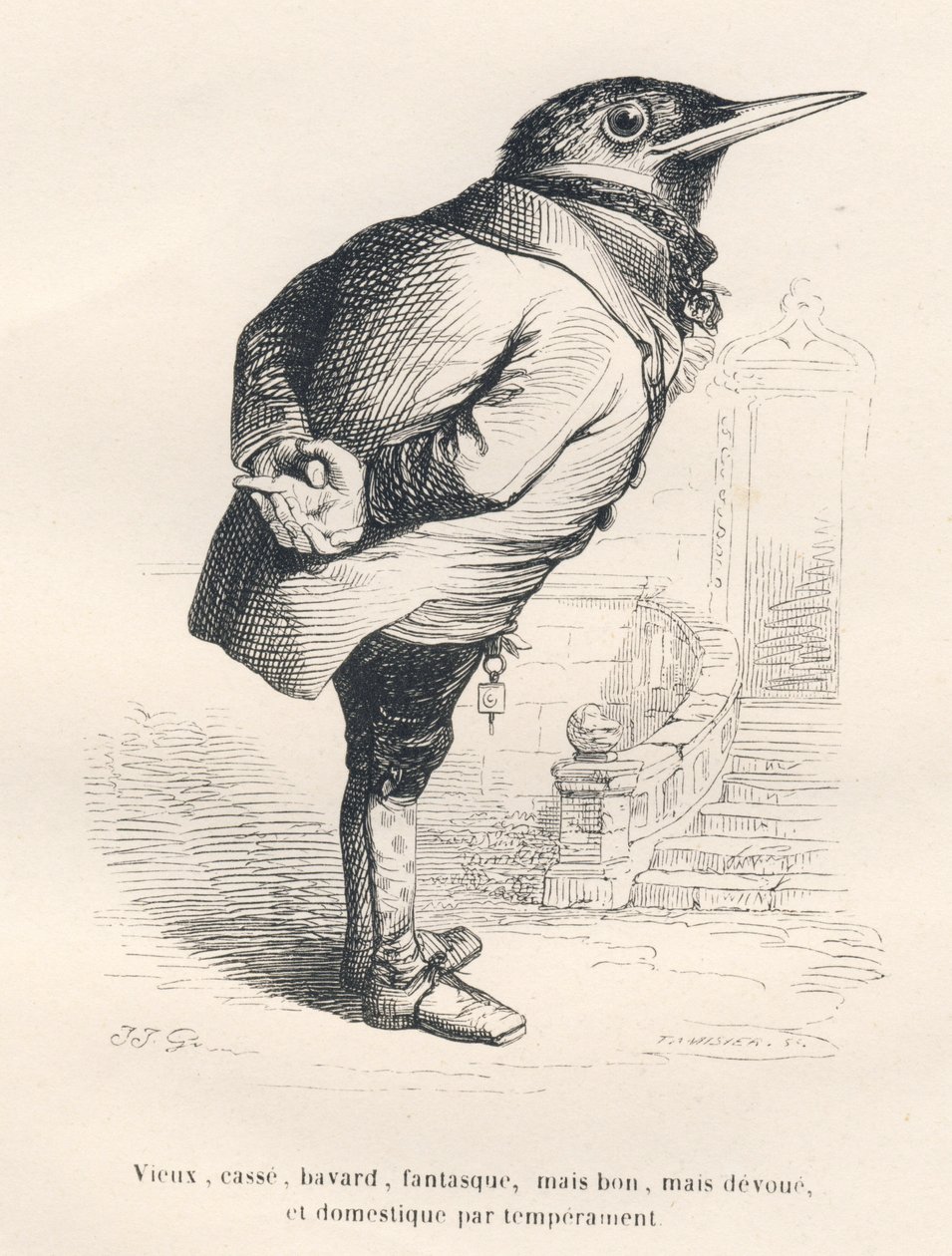 Amsel "alt, gebrochen, gesprächig, launisch aber gut, aber hingebungsvoll und häuslich von Natur". Illustrierte Vignetten von JJ Granville. Gravur signiert Tamisier im Teil "Erinnerungen einer alten Krähe" geschrieben von PJ Stahl in "Szenen aus dem privat von Grandville