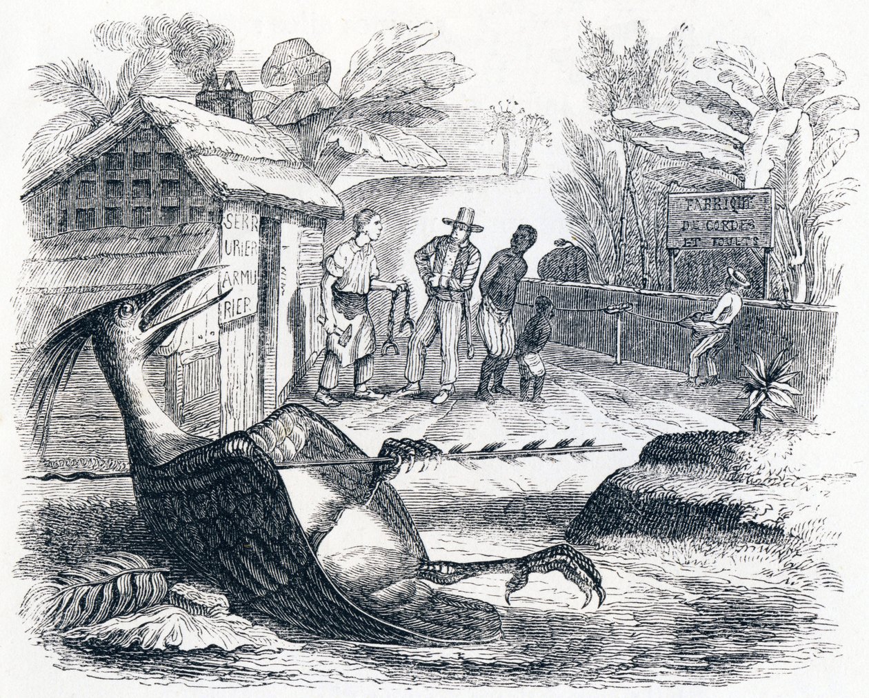 Der Vogel, verletzt von einem Pfeil - Fabeln von La Fontaine von Grandville