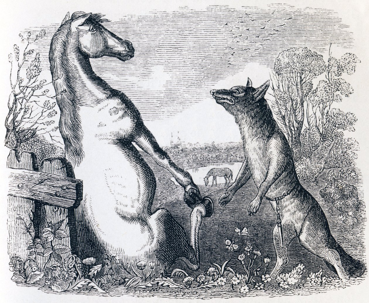 Das Pferd und der Wolf - Fabeln von La Fontaine von Grandville