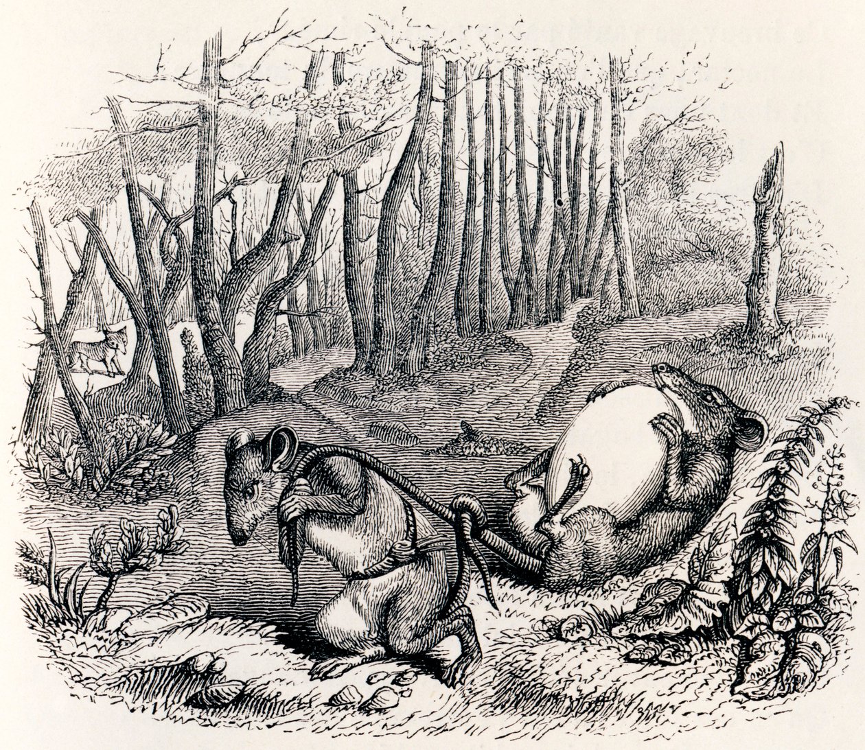 Die zwei Ratten, der Fuchs und das Ei - Fabeln von La Fontaine von Grandville