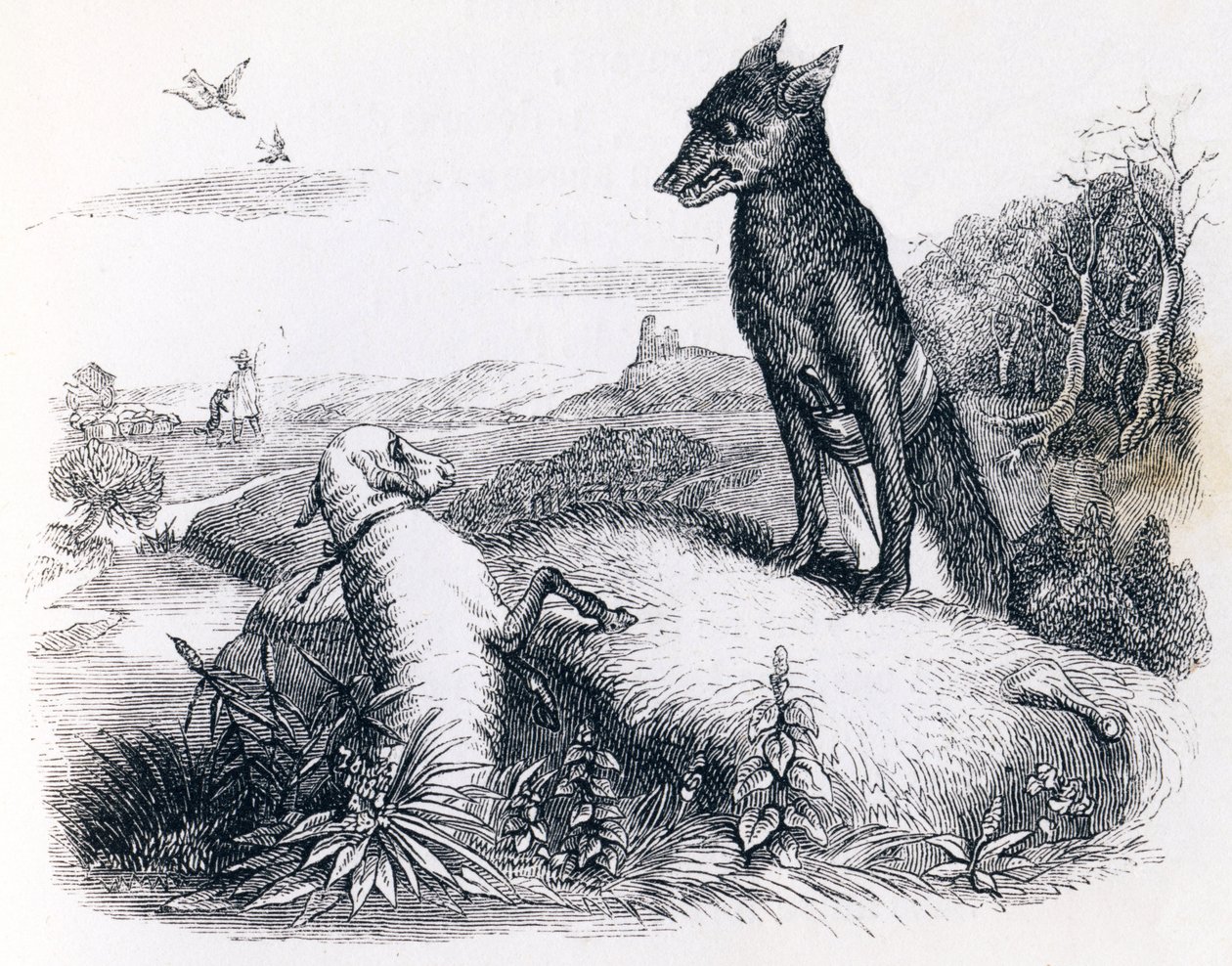 Der Wolf und das Lamm - Fabeln von La Fontaine von Grandville