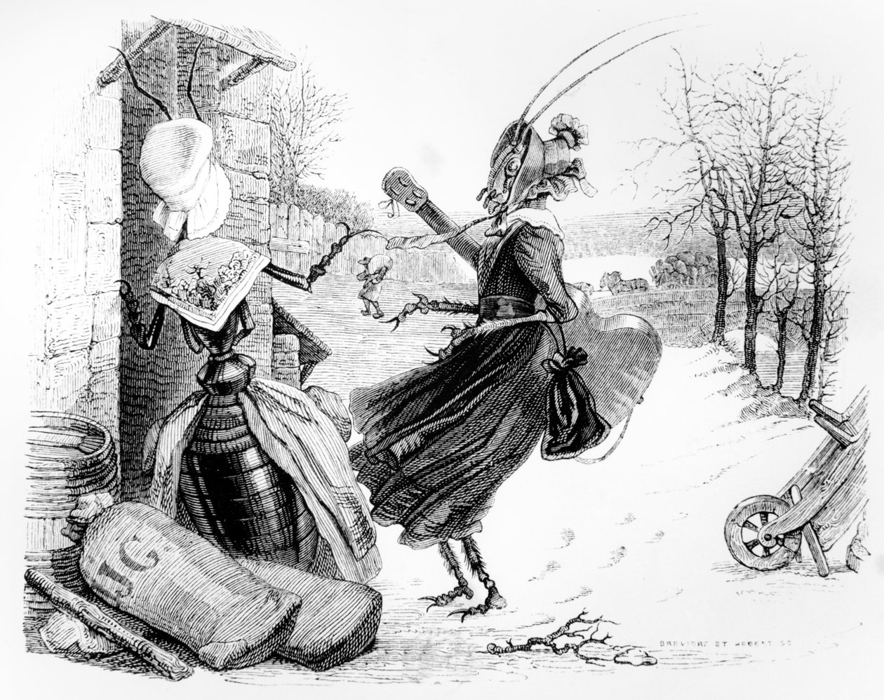 Die Zikade und die Ameise, Illustration für 