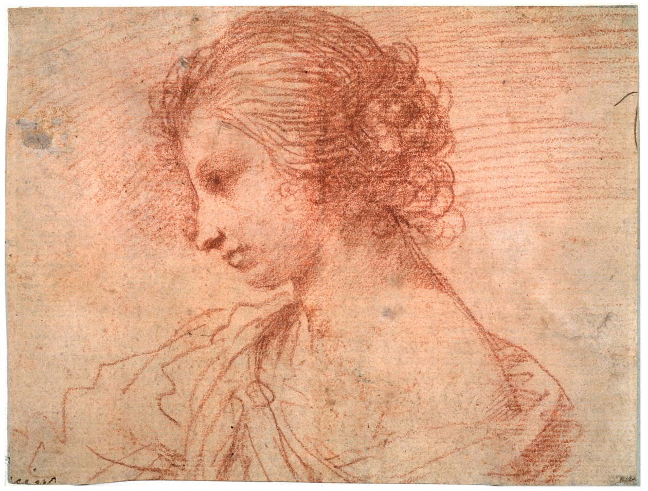 Brustporträt einer jungen Frau, 17. Jahrhundert von Guercino