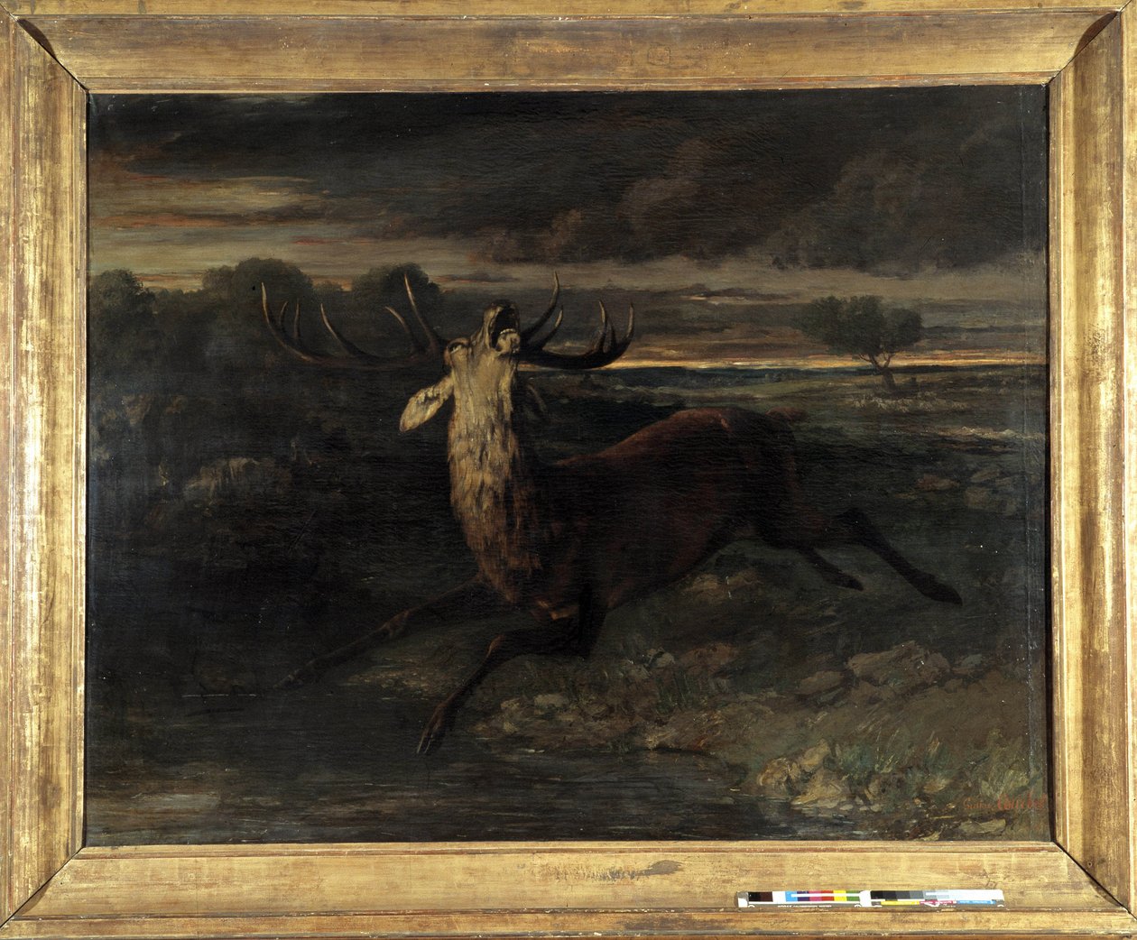 Der Hirsch hat Wasser (Jagd auf einen Lauf) sagt die Hirschkraft von Gustave Courbet