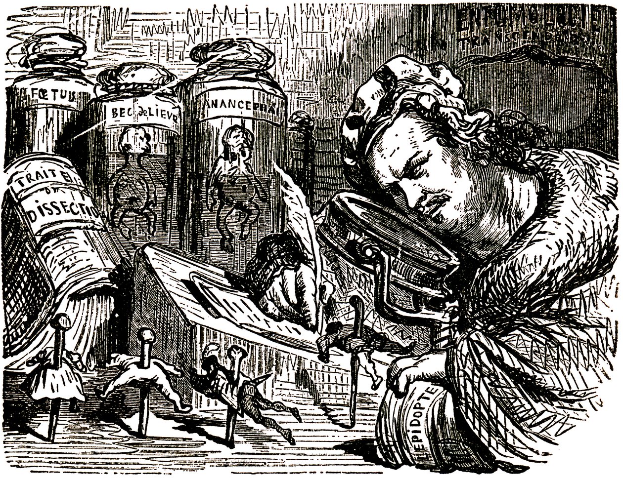 Karikatur von Honoré de Balzac (1799-1850) von Gustave Doré (1832-1883) für die „Drolatischen Geschichten“ (1855): der Schriftsteller wird als Entomologe dargestellt, der Menschen wie Insekten in seinem mit Entomologie- und Sezierentwürfen sowie Gläsern ge von Gustave Dore