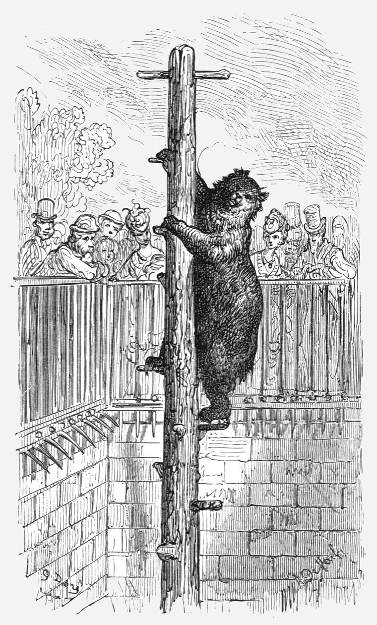 Die Bärenhöhle - Zoologische Gärten (1872) von Gustave Dore