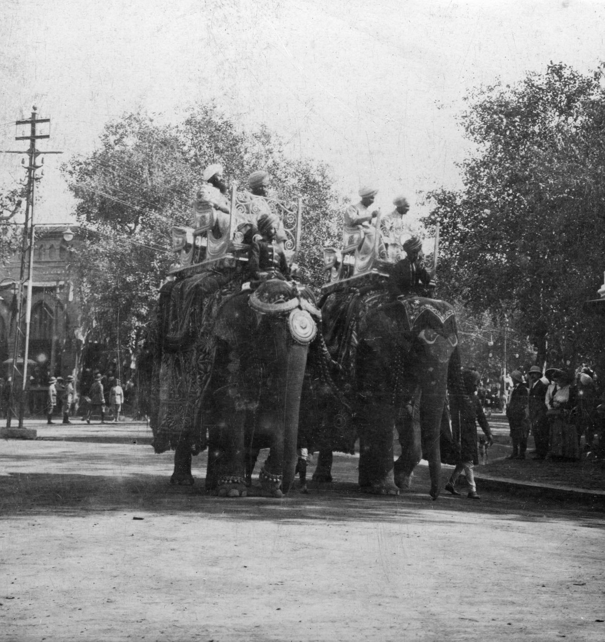 Eine Punjabi-Prinzessin reitet auf einem Elefanten in einer Prozession, Delhi, Indien von H. Hands and Son