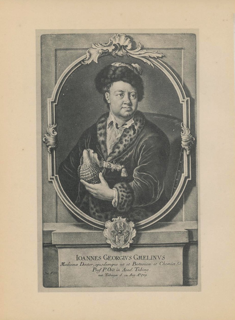 Porträt des Naturforschers, Botanikers und Geographen Johann Georg Gmelin 1709-1755, Mitte des 18. Jahrhunderts von Haid
