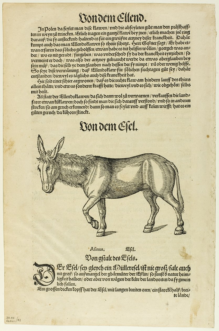 Illustration aus "Thierbuch", Tafel 42 aus Holzschnitten aus Büchern des XVI. Jahrhunderts von Hans Asper