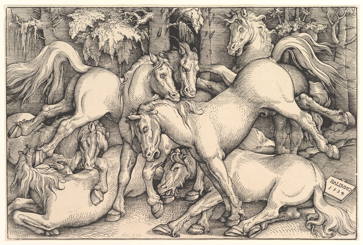 Gruppe von sieben Pferden, 1534 von Hans Baldung