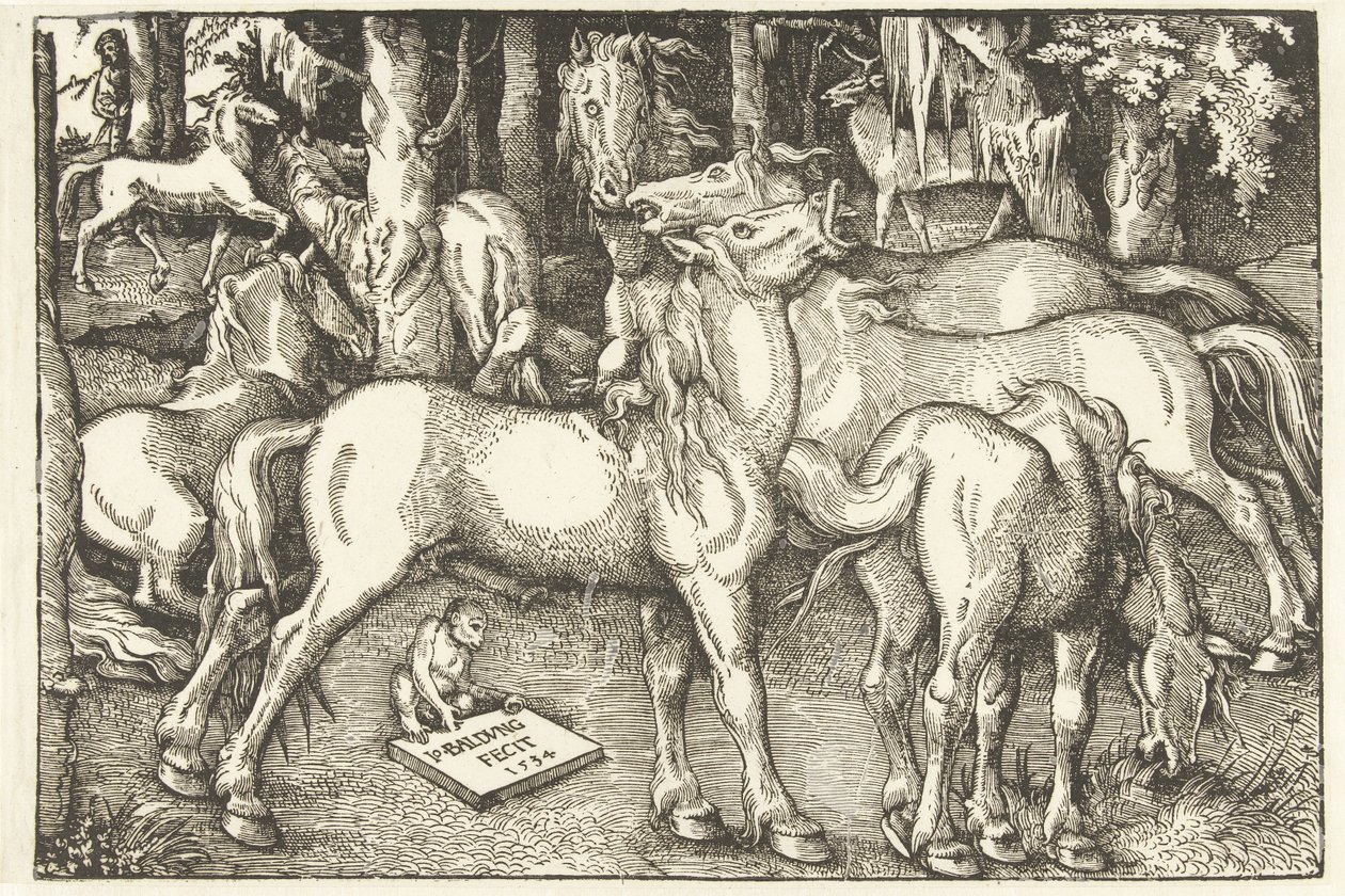 Gruppe von sieben Pferden und einem Affen von Hans Baldung Grien
